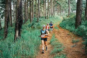 BIB: 
                            <button type="button" onclick="openModal(25698115)" class="btn btn-primary btn-sm float-right btn-popup" data-toggle="modal" data-target=".modal-high-quality">
                        <i class="fas fa-shopping-cart"></i> Add to Cart
                    </button>
                                            <button type="button" onclick="isThisMe(25698115, true)" class="btn btn-success btn-sm float-right btn-popup btn-isme hidden" data-toggle="tooltip" data-placement="bottom" title="นี่คือรูปของคุณใช่ไหม คลิกที่นี่เพื่อเอาเข้าอัลบั้ม">
                        <i class="fas fa-plus"></i> Add to album
                    </button>
                    <button type="button" onclick="isThisMe(25698115, false)" class="btn btn-warning btn-sm float-right btn-popup btn-isnotme hidden">
                        <i class="fas fa-ban"></i> Remove from album
                    </button>